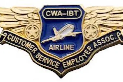 cwa-ibt_wings-500x275.jpg