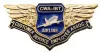 cwa-ibt_wings-500x275.jpg
